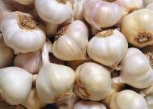 Spicy Fresh Pure White Garlic Organic Vegetable 20kg / Mesh