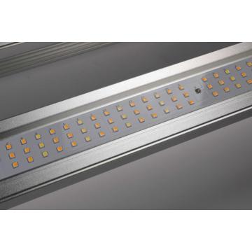 WiFi로 수경 재배 식물을위한 Led Grow Light