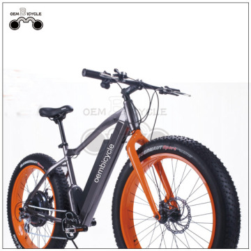 EBIKE COMPANY WHOLESALE ONLINE 19INCH FAT TIRE EBIKE