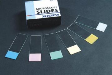 medical disposable frosted/plain microscope slide