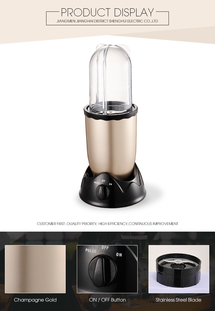 AD-866Food Blender