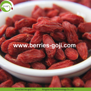 ต่ำผลไม้ธรรมชาติความชื้นต่ำ Premium Goji Berries
