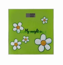 Electrionic  Digital Personal Scale