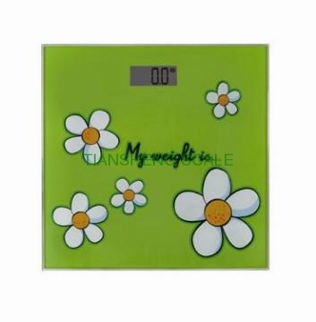 Electrionic  Digital Personal Scale