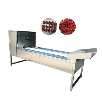 Plum Pitting Machine