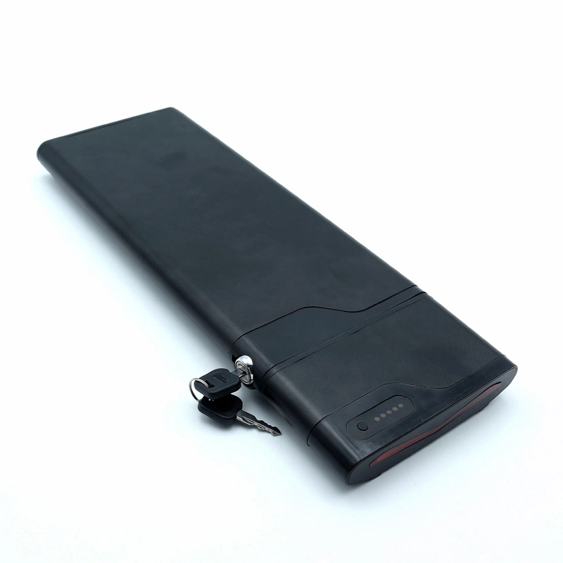 Good Price 48V 10ah Lithium Battery Bluetooth BMS Ebike Battery with Ce