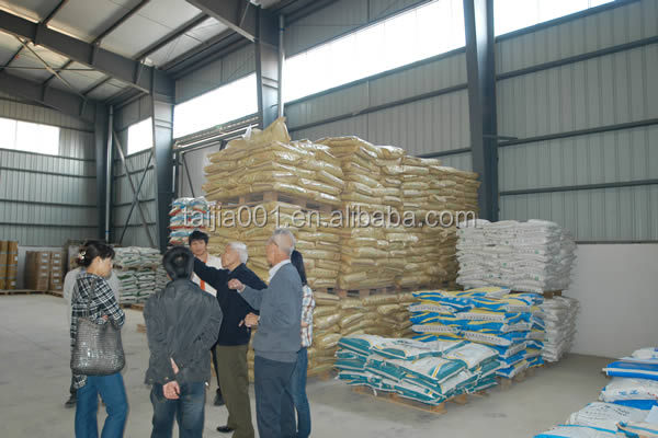 china meat bone meal factory price