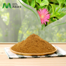 Kosher Certificate Andrographis Paniculata Extract Powder
