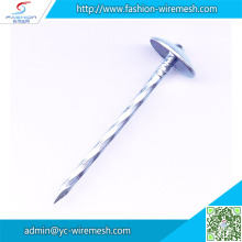 Factory Price galvanized flat head nail