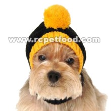 dog hat costume child