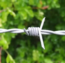 Barbed Wire Fences