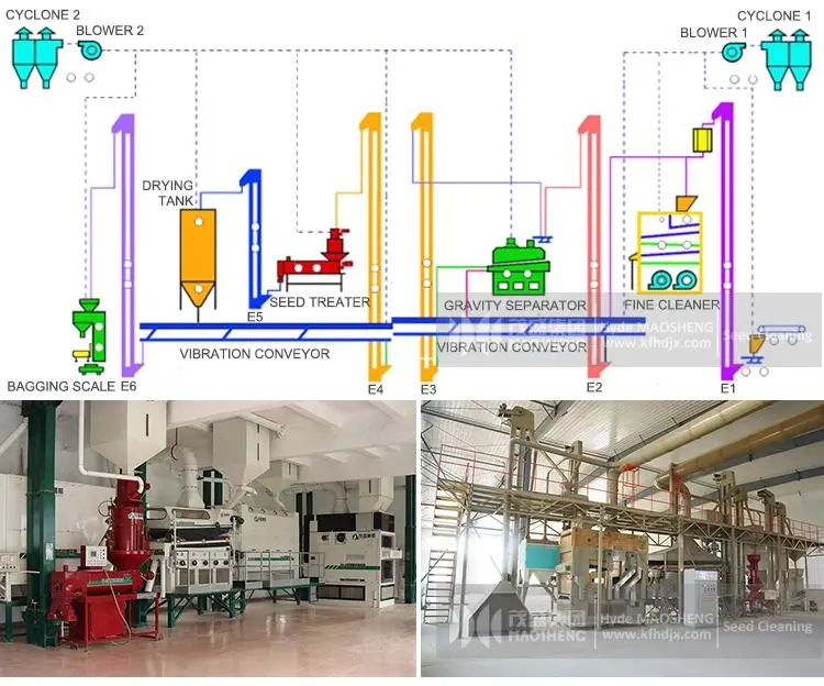 Grain Treatment Equipment Wheat Corn Oat Seed Coating Machine