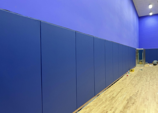 3D Model Design Leather Wall Padding for University