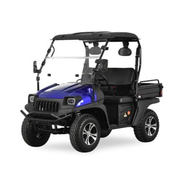 Electric UTV Дополнительные запасные части заднего стенкового сиденья