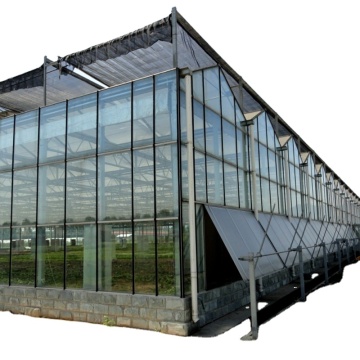 Quick Construction Glass Greenhouse Turnkey Projects for Sale