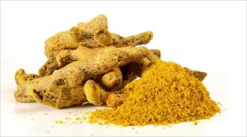 High quality Curcuminoids 95% turmeric Curcuma longa Extract powder