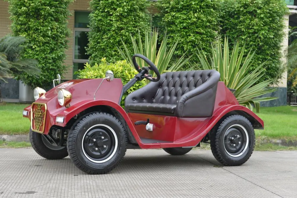 Safe and Comfortable Two-Seater Battery Car for Golf