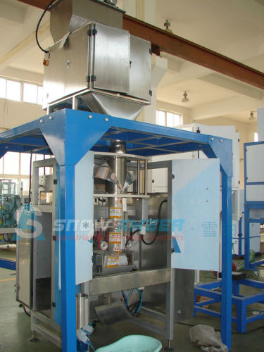 Automatic Tube Ice packing Equipment