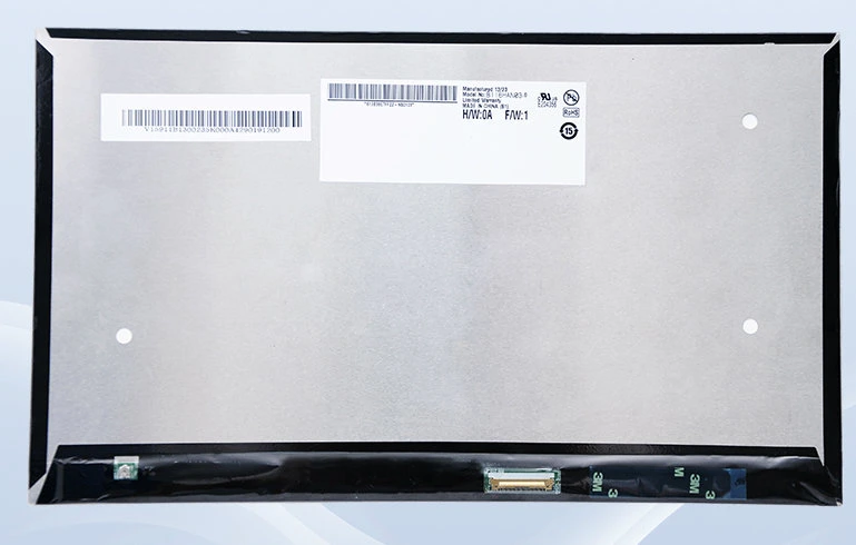 Ronen Rg116xxs-01 11.6 Inch LCD Display for Multi-Media Application IPS Tablet Screen