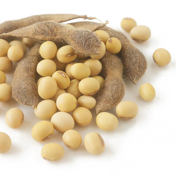 Insen Provide Reliable Quality Soybean Lecithin