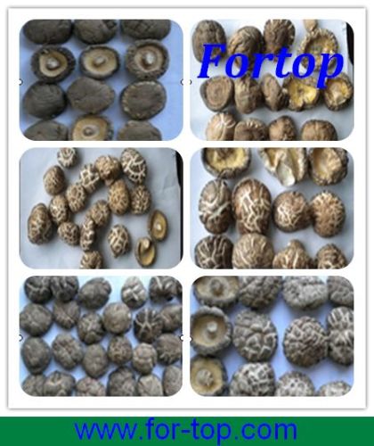 100% Natural Dried Shiitake Mushroom Dsm-006