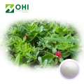 Andrographis Paniculata Extract Andrographolide Powder