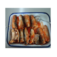 ingredient canned sardine fish,canned sardine pilchards,canned sardines 155g with tomato sauce