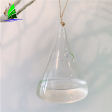 Home Decoration Glass Vase