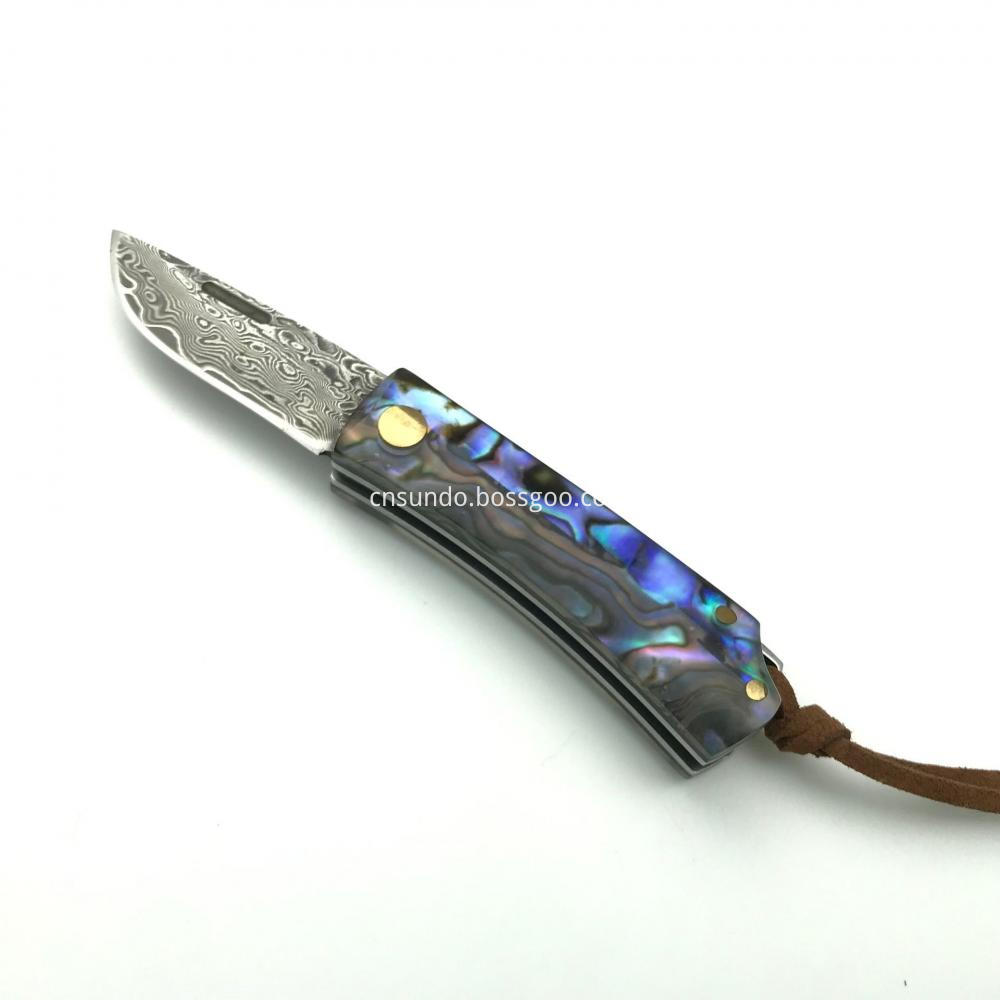 Shell Handle Knife