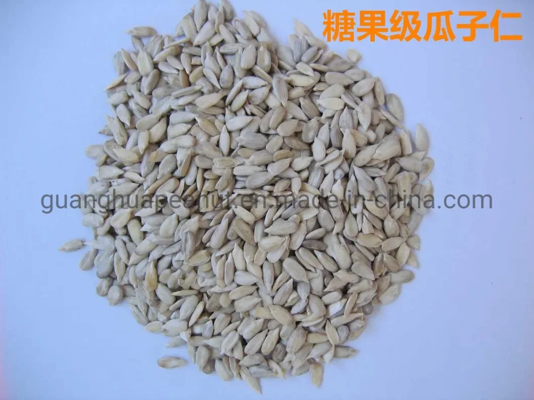 Hot Sale Original Sunflower Seeds Kernels