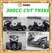 2015 Scooter Trike 300 CC