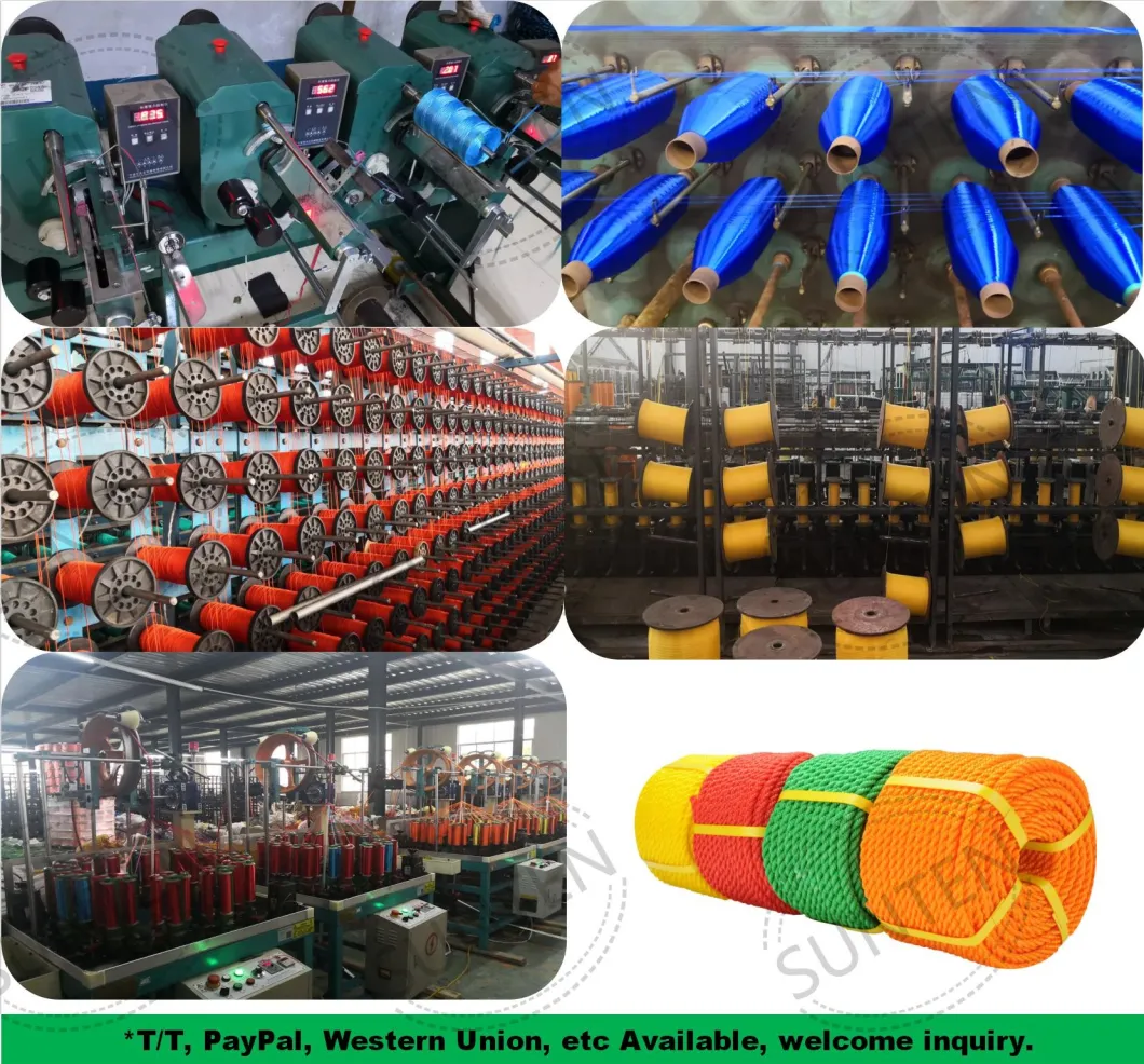 High Tenacity PE/PP/Polyester/Nylon Plastic Twisted/Braided Multi-Filament Rope/Baler/Packing Line/Thread/Fishing Net Twine for Africa