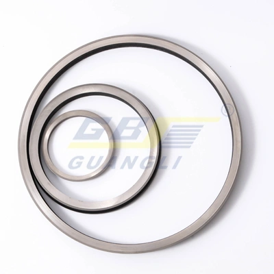 Guangli Floating Oil Seal--Sg3870