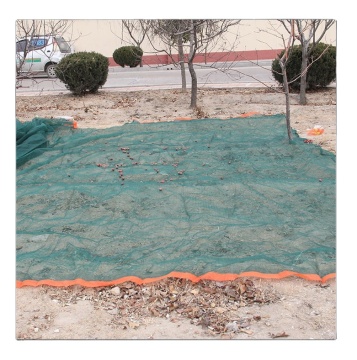 Anti-Thorn Cloth Roll Olive Tree Protection Net for Harvesting Olives