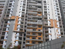 Aerial Working Platform