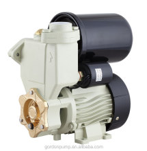 PS-139 Self Priming Auto Water Supply Domestic Pump