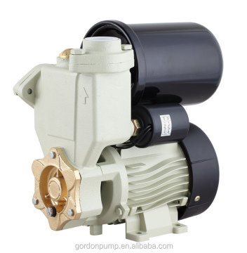 PS-139 Self Priming Auto Water Supply Domestic Pump