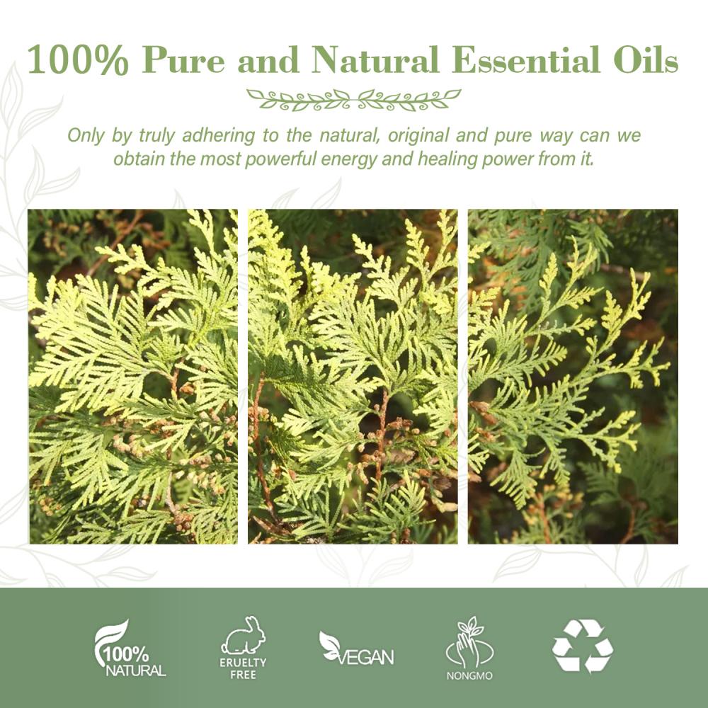 OEM ODM por atacado a granel 100% puro Hinoki Cypress Oil Essential Oil