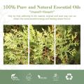 OEM ODM Оптовая масса 100% чисто органический эфирное масло Hinoki Cypress