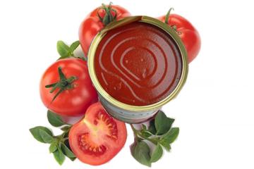 Conventional Canned Tomato Paste