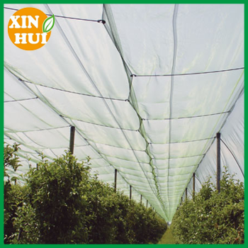 apple tree hail nets for crop protection