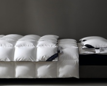 Luxury Hotel White Silent Down Comforter
