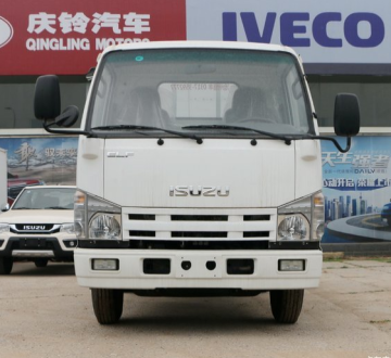 Mini ISUZU Lorry Light Cargo Truck For Sale