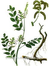 licorice root,licorice stick