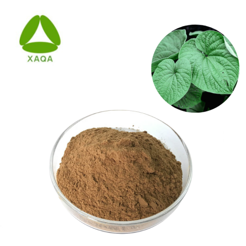 Superar la depresión de kava extracto en polvo 30% kavalactones