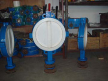 Butterfly Valve