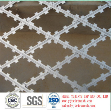 razor mesh/razor barbed mesh/razor wire mesh