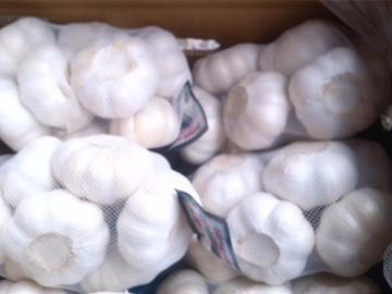 prepacked bags or carton fresh garlic