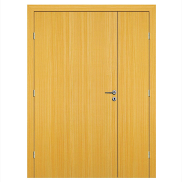 Wood Veneer Hollow Core Doors