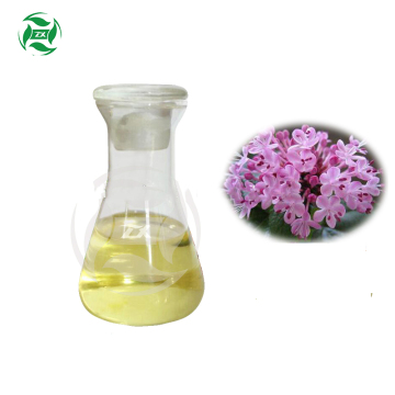 Superior Quality Bulk Aromatic Clove Essential Oil/Clove Oil